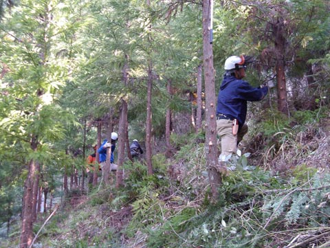 東京アプリ イメージ6